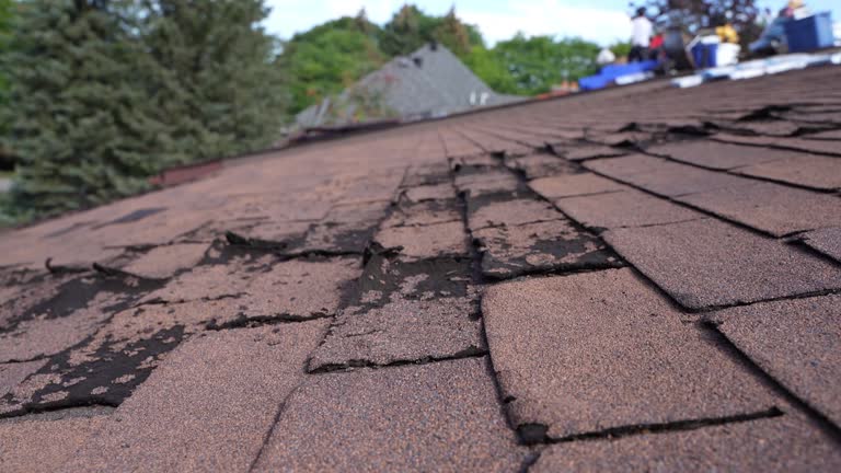 Best Asphalt Shingle Roofing  in Lansing, IL