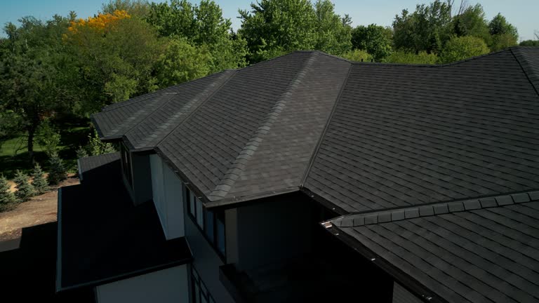 Best 4 Ply Roofing  in Lansing, IL