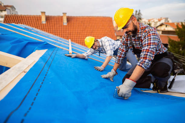 Best Roof Ventilation Installation  in Lansing, IL