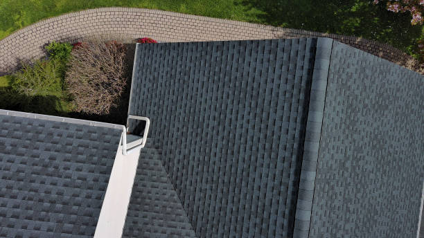 Best Roof Coating and Sealing  in Lansing, IL